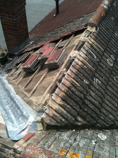 slideshow image